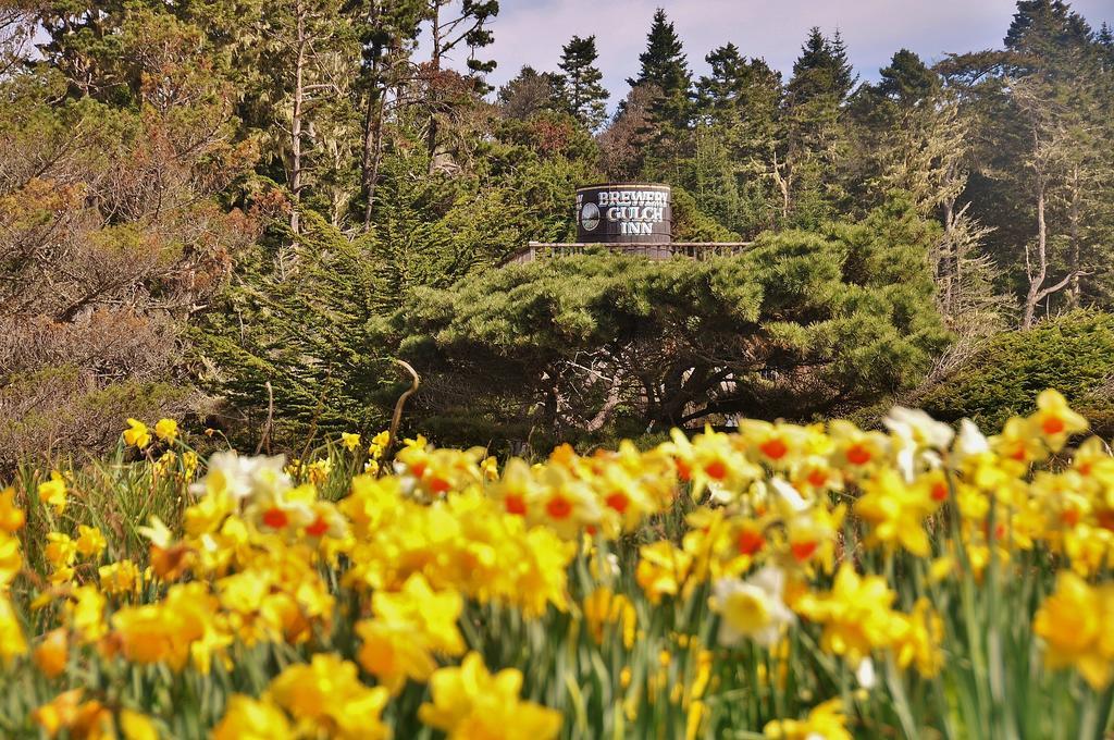 Brewery Gulch Inn & Spa Mendocino Kültér fotó